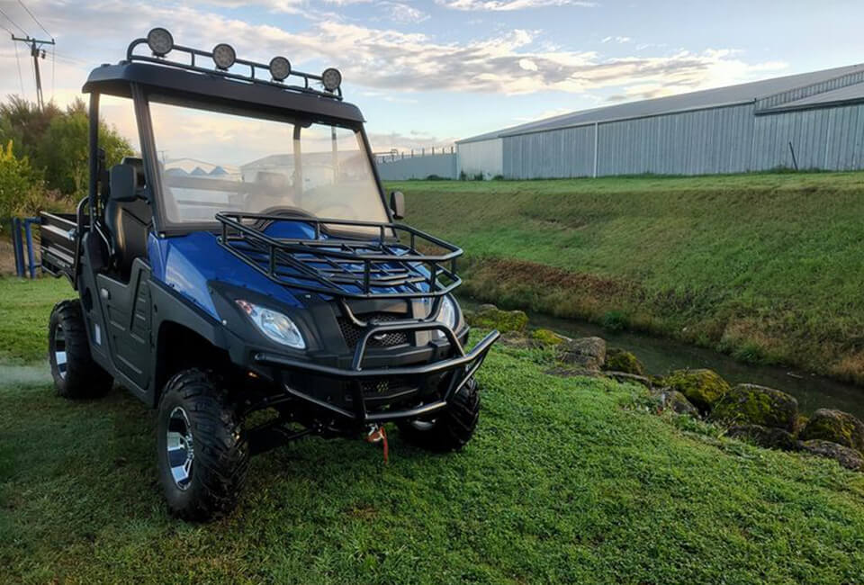 Квадроцикл Kingwoo Electric Vehicles KWG800