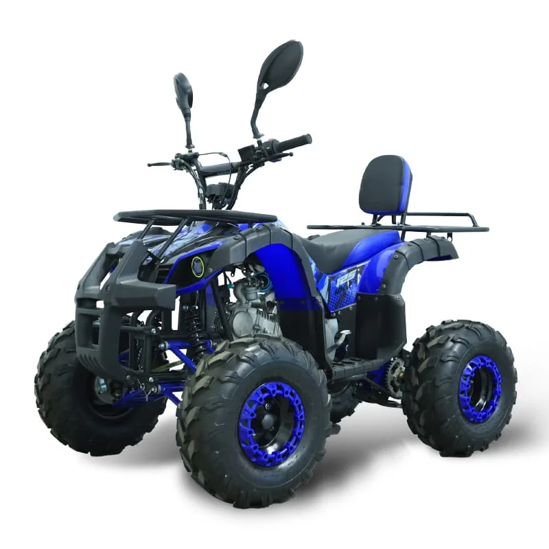 Квадроцикл Valtinsu (Changzhou) ATV-012 125CC