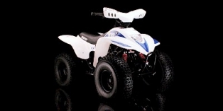 Квадроцикл Vento (VMC) Avalanche