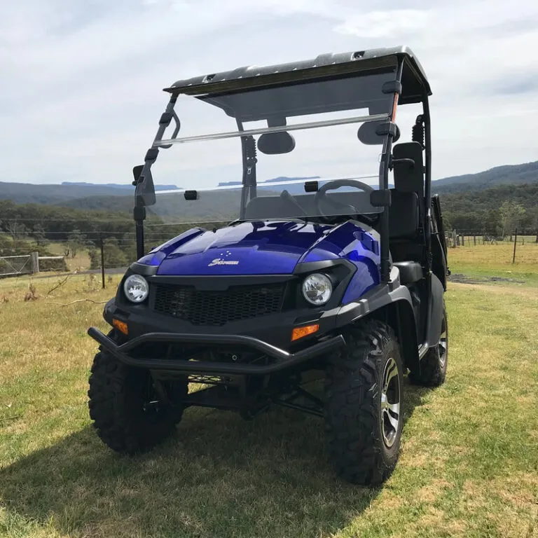Квадроцикл Winway VB Buggy