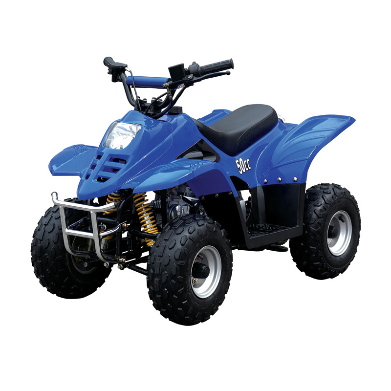 Квадроцикл Yongkang Bode Industry Co., Ltd. MC-303-110CC