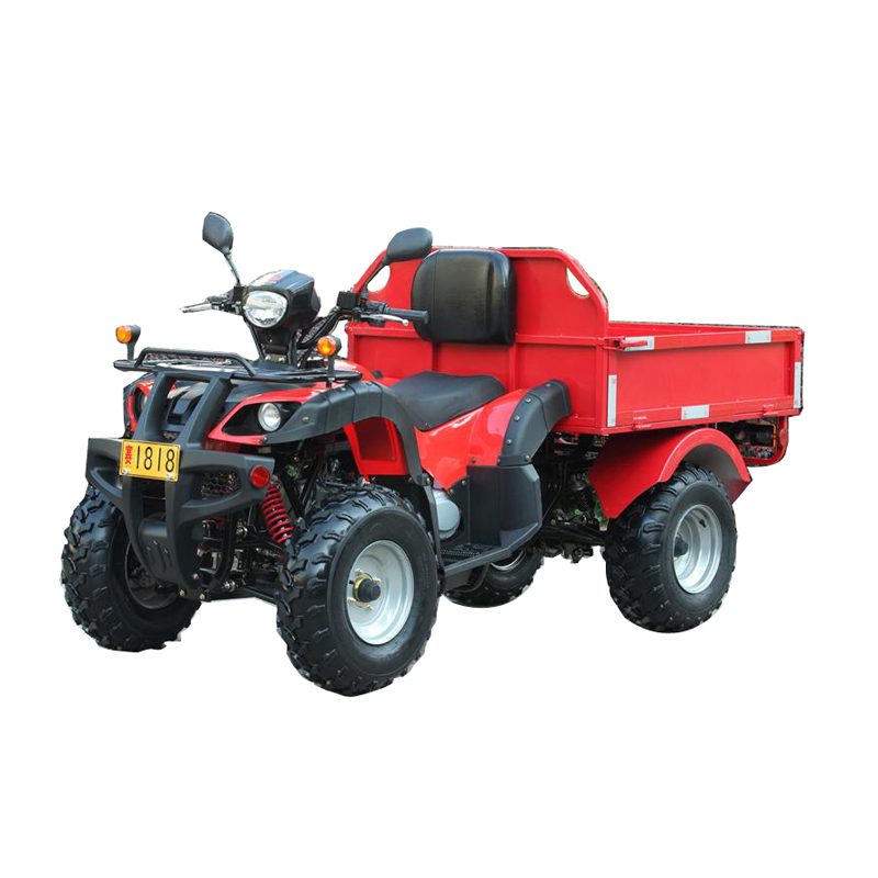 Квадроцикл Yongkang Bode Industry Co., Ltd. MC-337-200CC