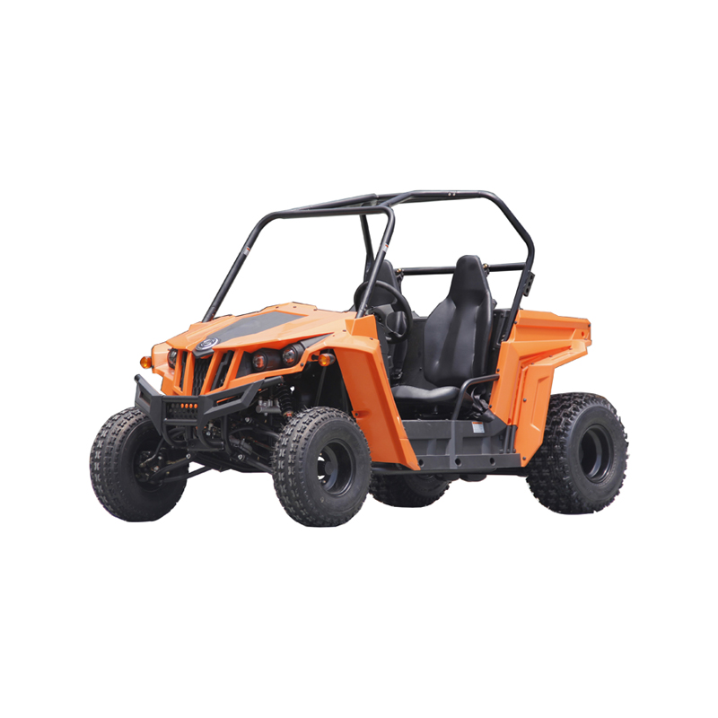 Квадроцикл Yongkang Bode Industry Co., Ltd. MC-141-150CC