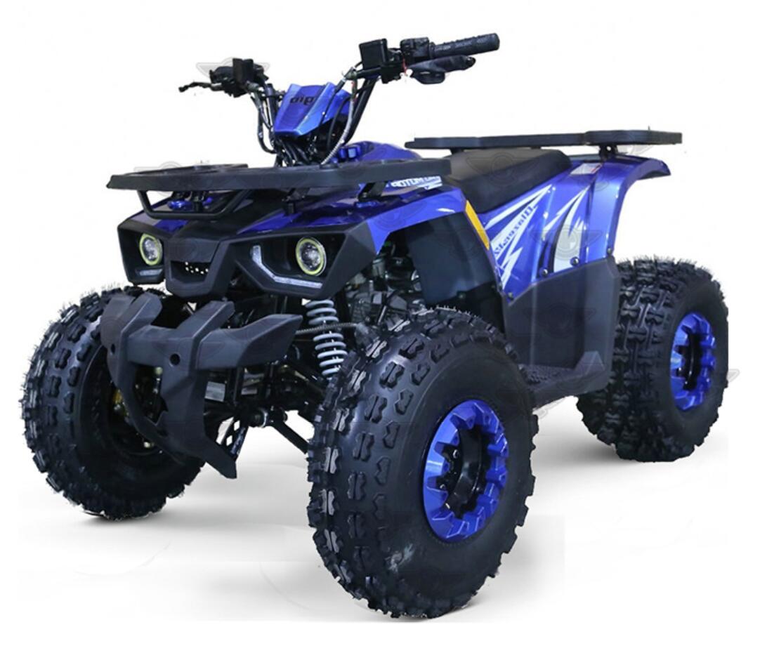 Квадроцикл Yongkang Bode Industry Co., Ltd. MC-318-110CC