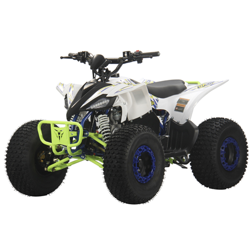 Квадроцикл Yongkang Bode Industry Co., Ltd. MC-315-125CC