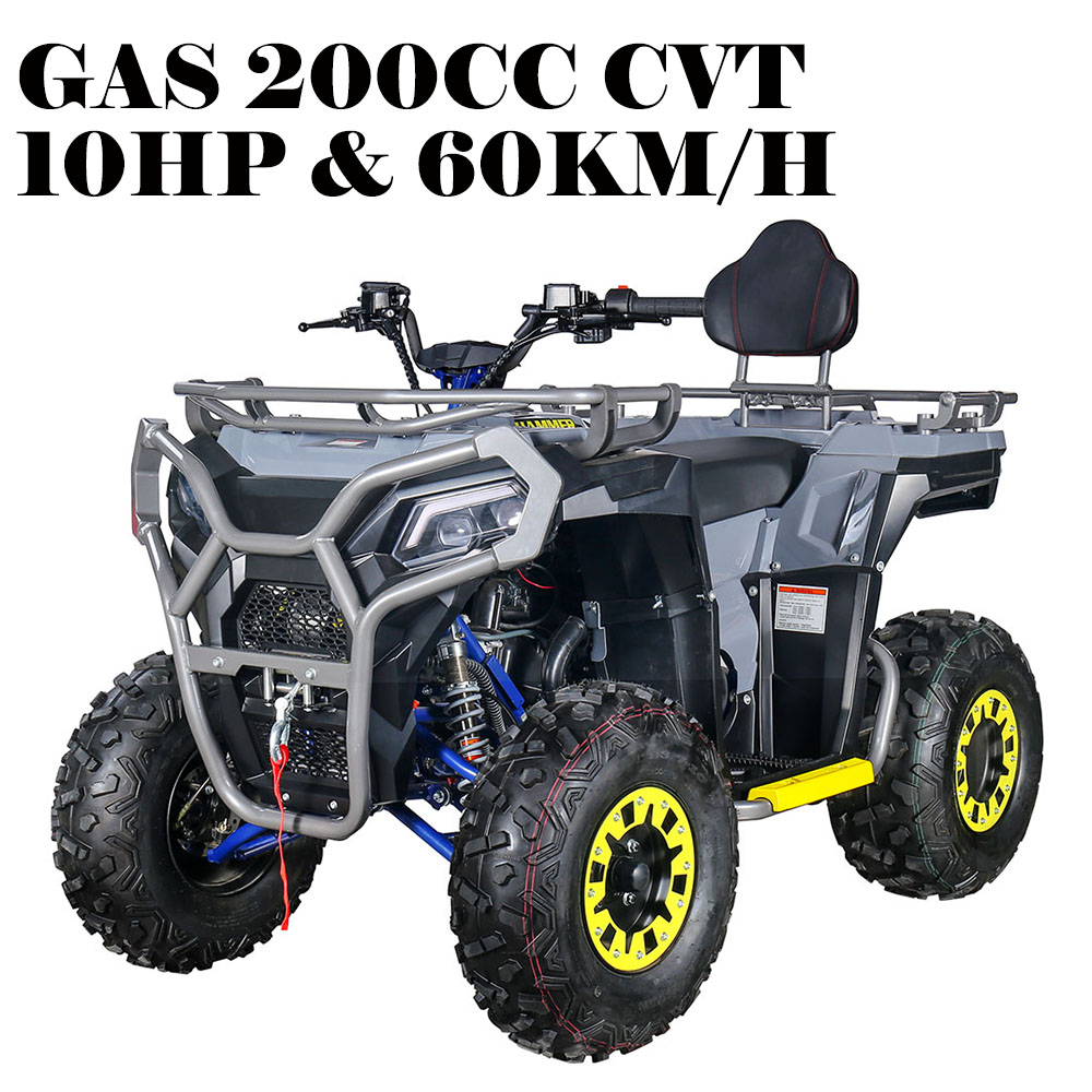 Квадроцикл Zhejiang Kaxa Industry & Trade 200CC ATV Quad Bike KXA-20