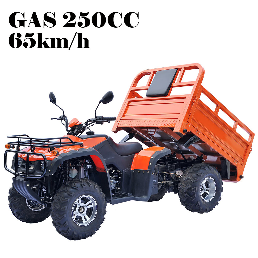Квадроцикл Zhejiang Kaxa Industry & Trade Cargo ATV 250CC Quad Bike KXA-10