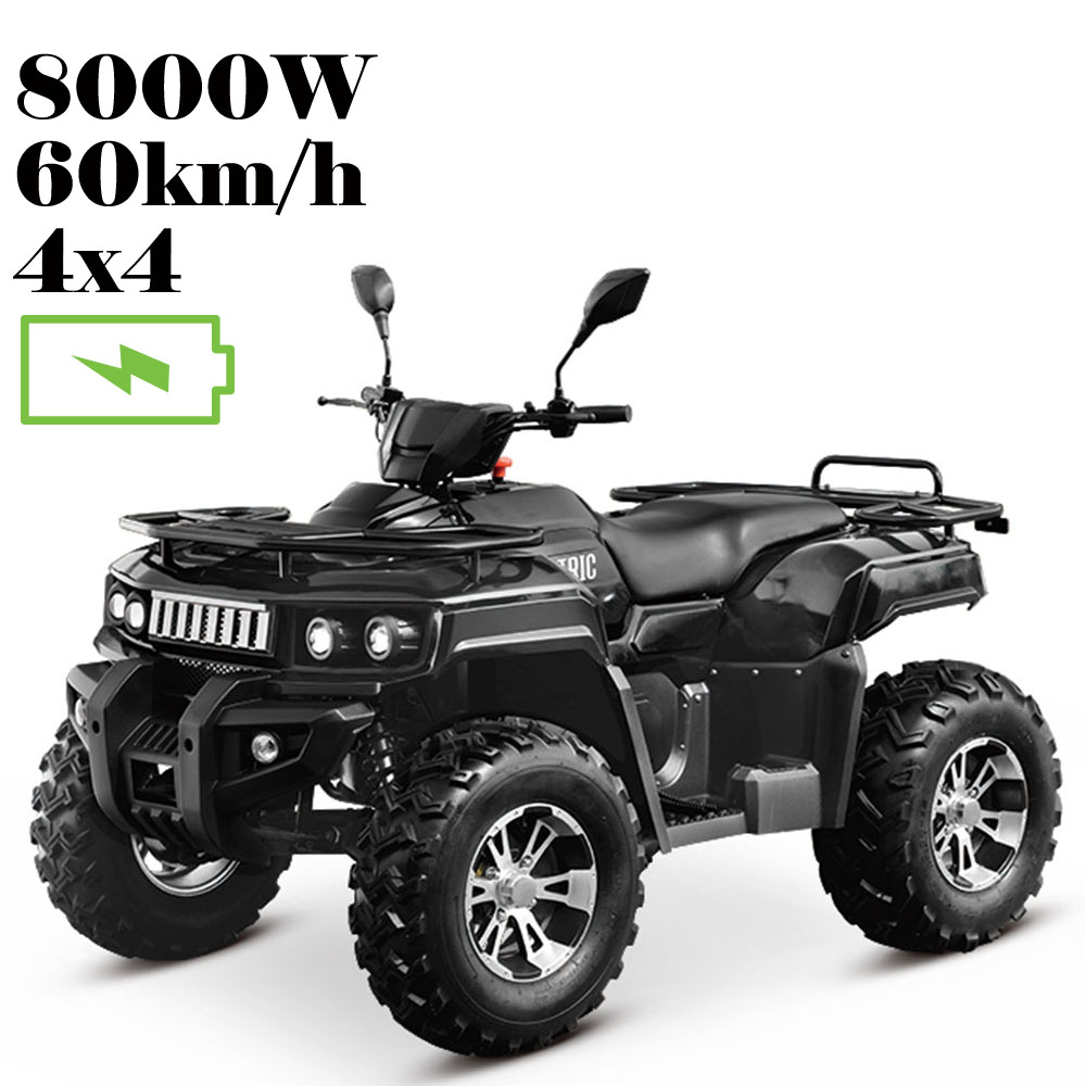 Квадроцикл Zhejiang Kaxa Industry & Trade 8KW Electric ATV 4X4 KXA-04