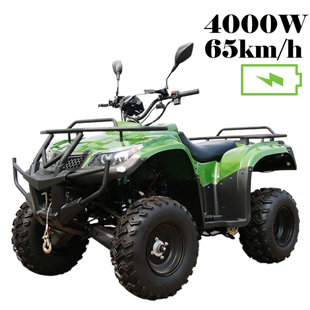 Квадроцикл Zhejiang Kaxa Industry & Trade 4000W EV ATV Electric Quad Bike KXA-01