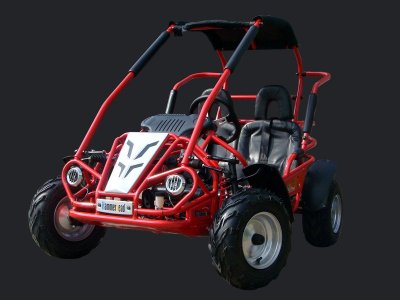 Квадроцикл Hammerhead Off-Road 80T