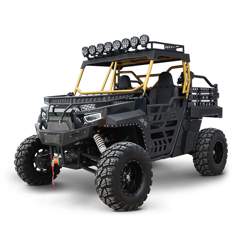 Квадроцикл Ningbo Freeman Technology Beast 1000CC-3