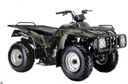 Квадроцикл Shenke SK250-D