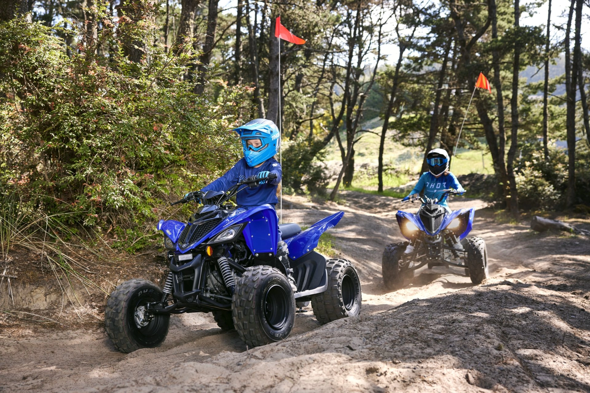 Квадроцикл Yamaha Raptor 110