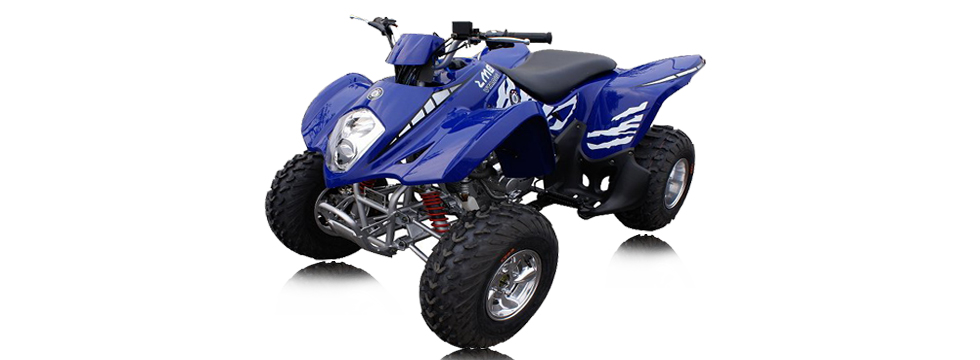 Квадроцикл BMS Motorsports ATV Sport 300