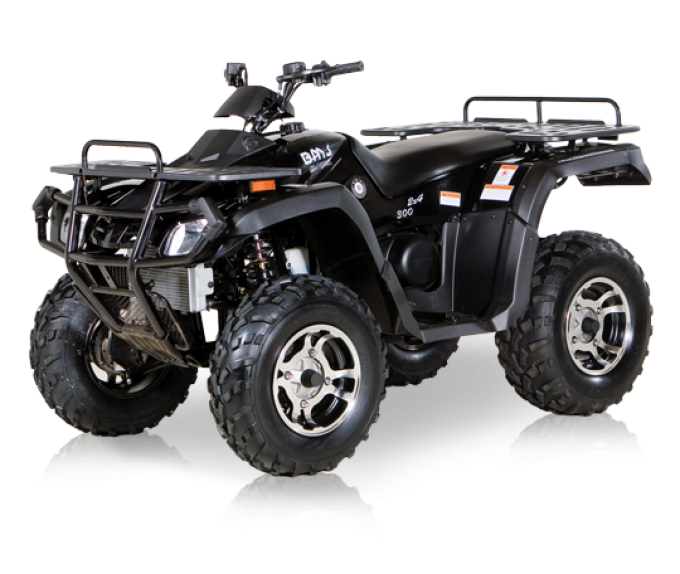 Квадроцикл BMS Motorsports ATV Utility 300
