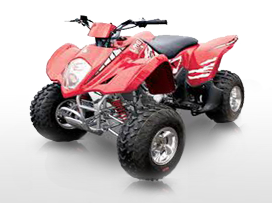 Квадроцикл BMS Motorsports ATV Sport 250