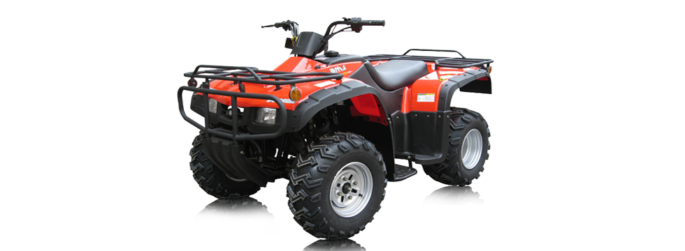 Квадроцикл BMS Motorsports ATV Utility 250