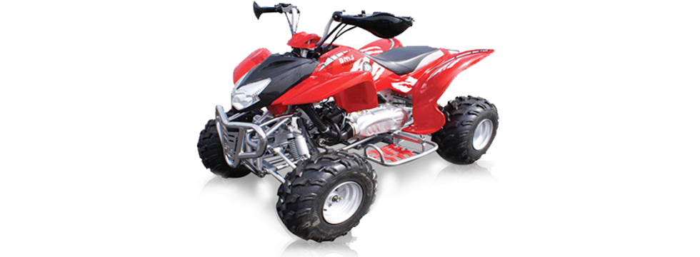 Квадроцикл BMS Motorsports ATV Sport 150
