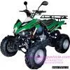 Квадроцикл Buyang (Feishen) BC-X250
