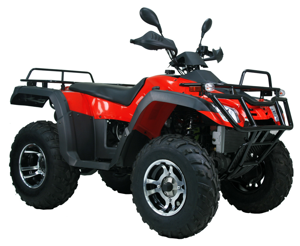 Квадроцикл Buyang Feishen FA-D300