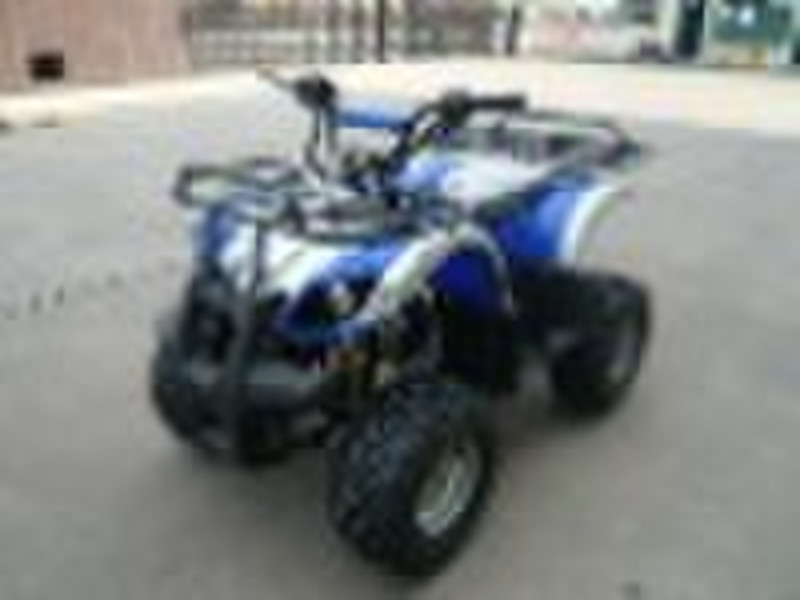 Квадроцикл Buyang (Feishen) FA-D90