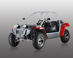 Квадроцикл Buyang (Feishen) FA-G300