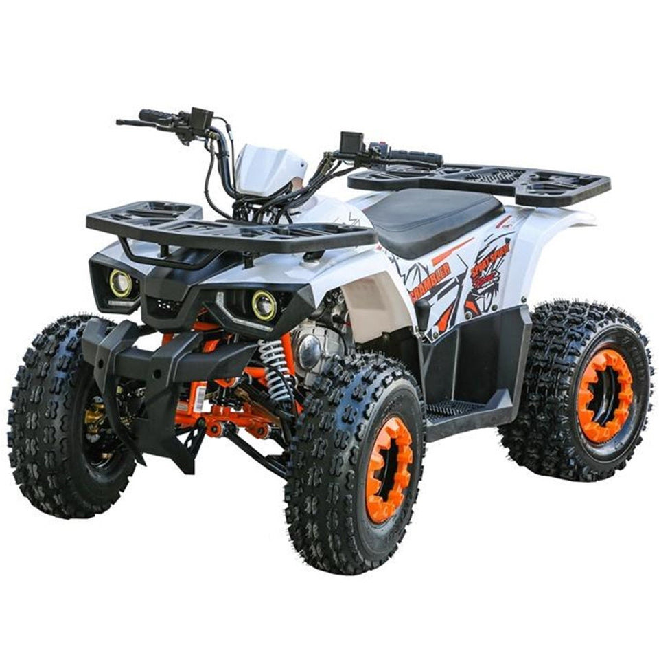 Квадроцикл Coleman Powersports AT125-UT (AT125UT)