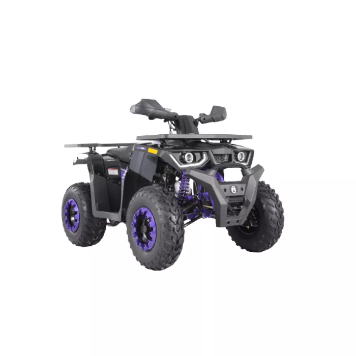 Квадроцикл Coleman Powersports AT200-BP (AT200BP)