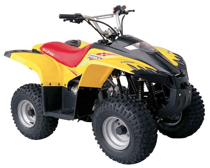 Квадроцикл Lifan LF50ST-6 (A5)