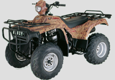 Квадроцикл Lifan LF250ST-2