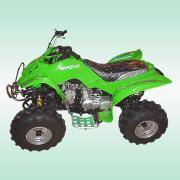 Квадроцикл Shineray XY110ST-2