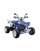 Квадроцикл Shineray XY250ST-9E