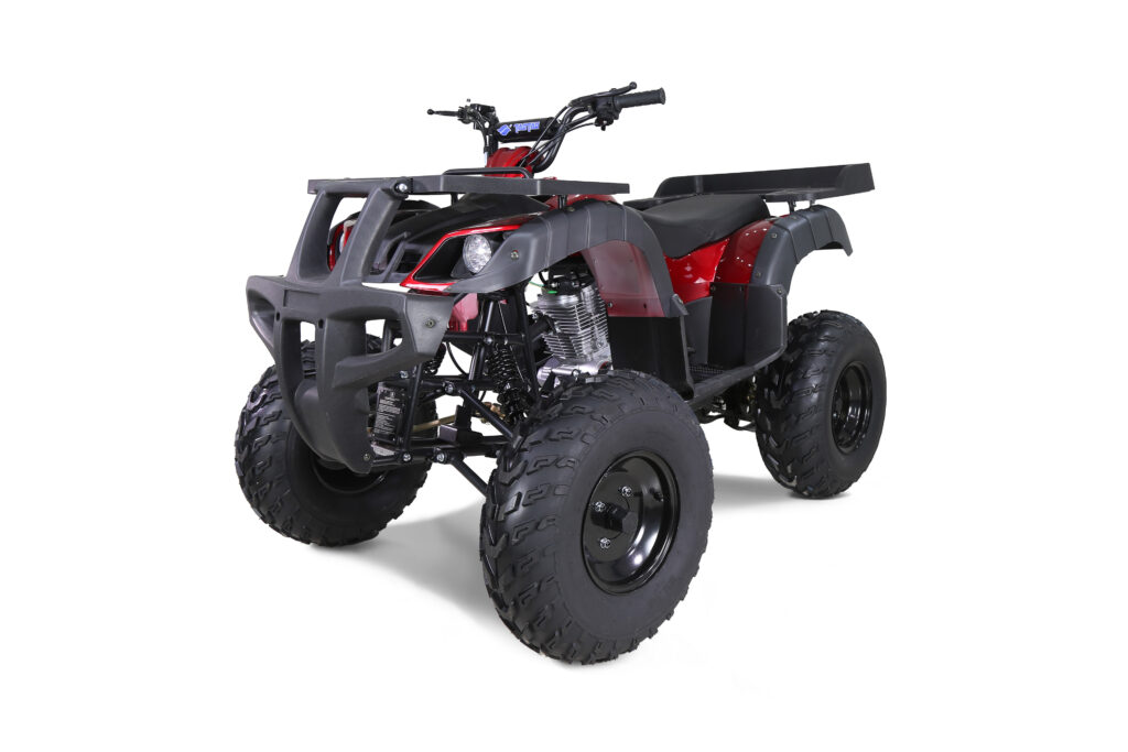 Квадроцикл Tao Motor Rhino 250