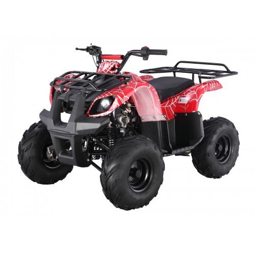 Квадроцикл Tao Motor D125 (ATA125D)