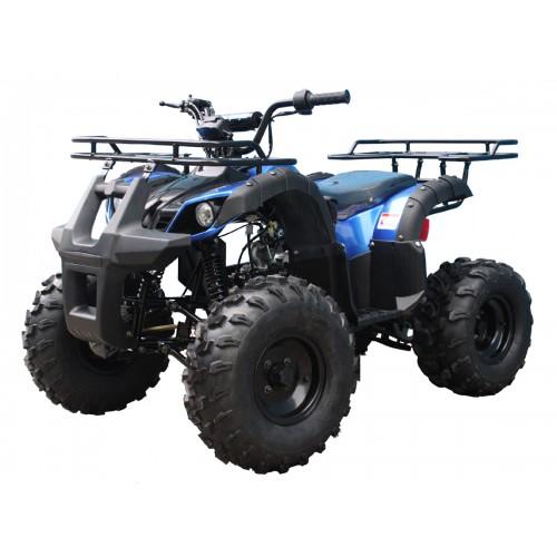 Квадроцикл Tao Motor T-Force (T125)