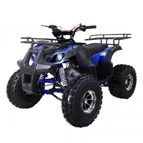 Квадроцикл Tao Motor New T-Force
