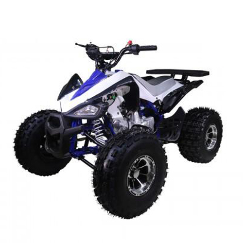 Квадроцикл Tao Motor New Cheetah