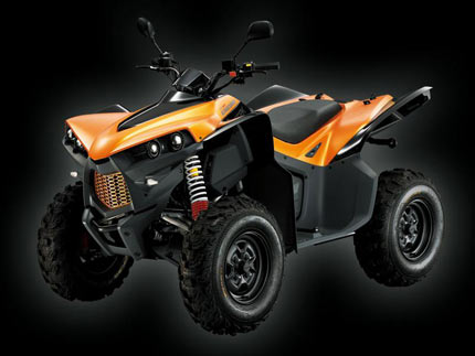 Квадроцикл Cectek King Cobra 500EFI D