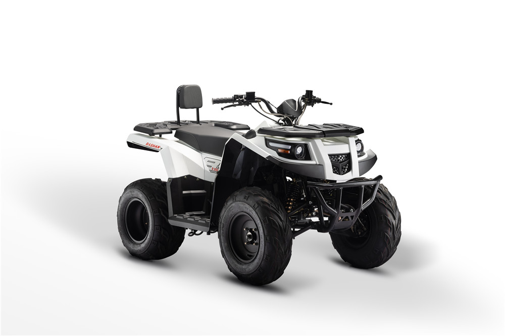 Квадроцикл Bashan BS150AU-15C