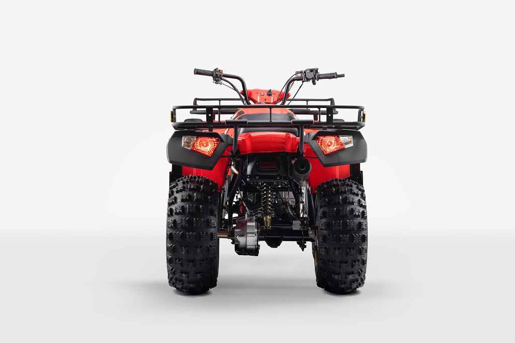 Квадроцикл Bashan BS250AU-29D