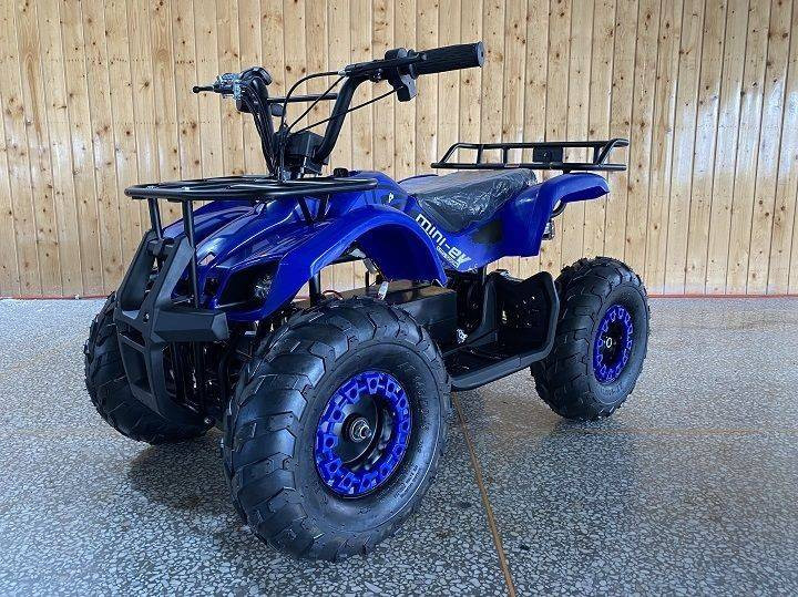 Квадроцикл DongFang Kids ATV Electric 500W