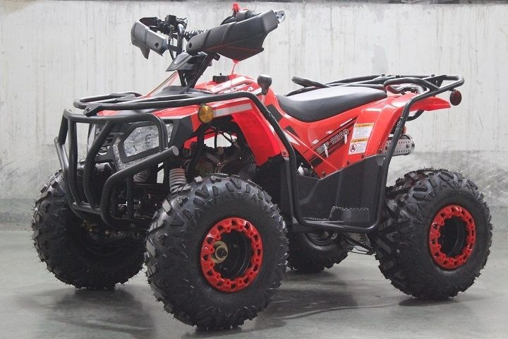 Квадроцикл DongFang Rhino 200 (DF200ATS)