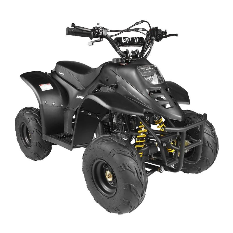 Квадроцикл GMX Motorbikes 70cc Ripper-X Junior Kids Quad Bike