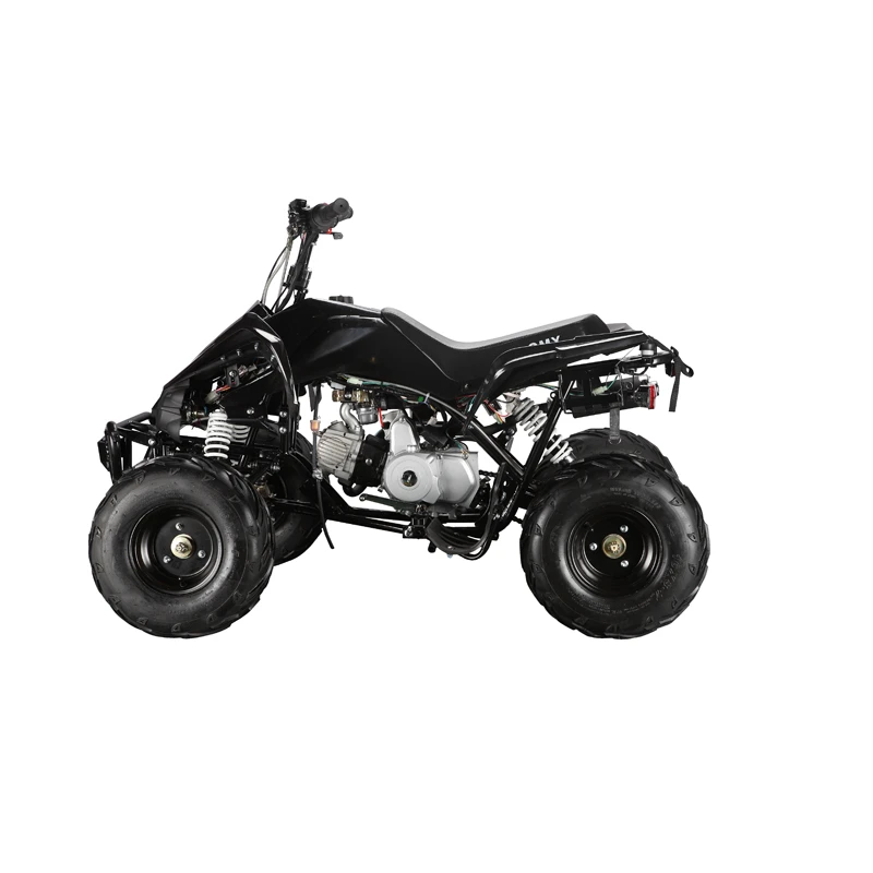Квадроцикл GMX Motorbikes The Beast 110cc Sports Quad Bike