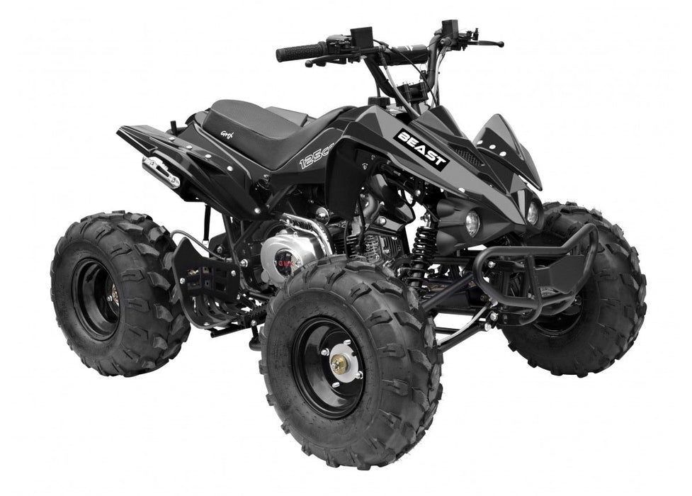 Квадроцикл GMX Motorbikes The Beast 125cc Sports Quad Bike