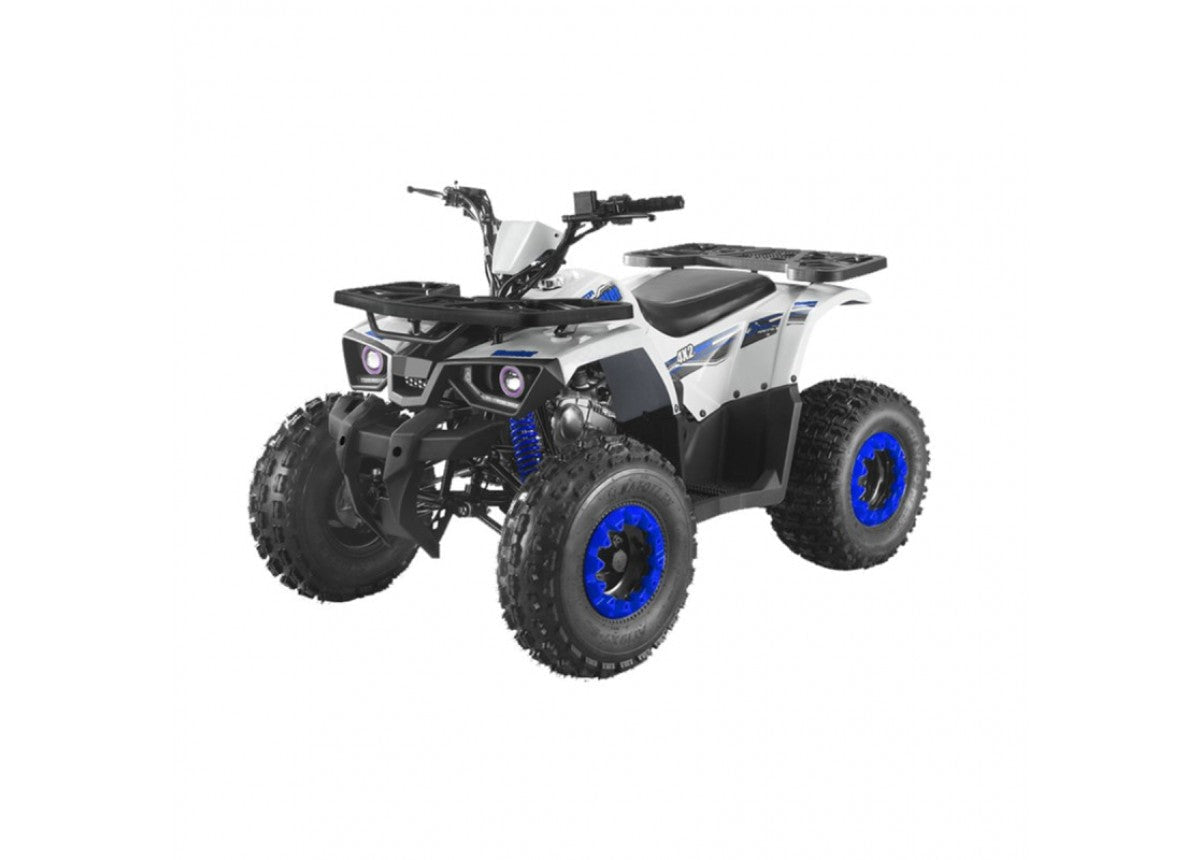 Квадроцикл GMX Motorbikes 125cc Hunter Farm Quad Bike