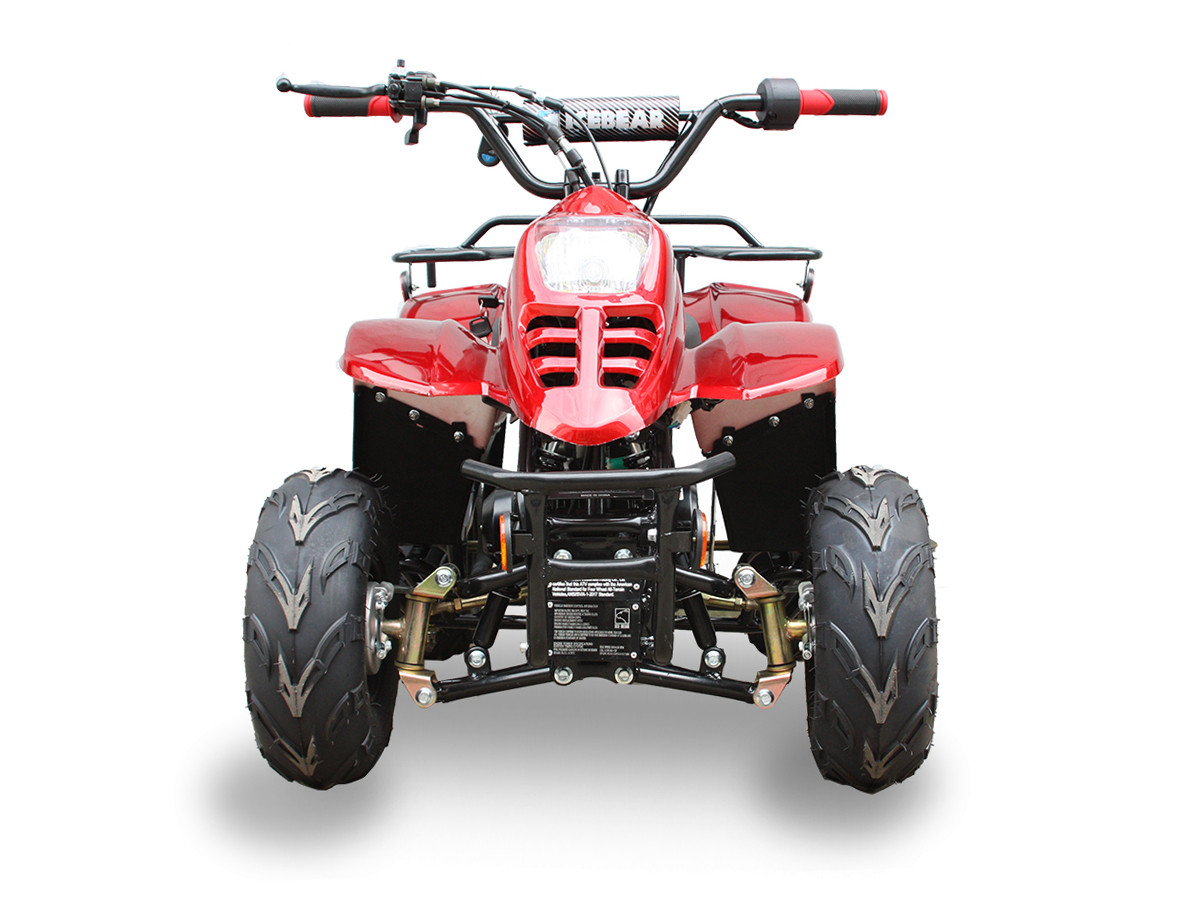 Квадроцикл IceBear Dyno-R (PAH110-2R)