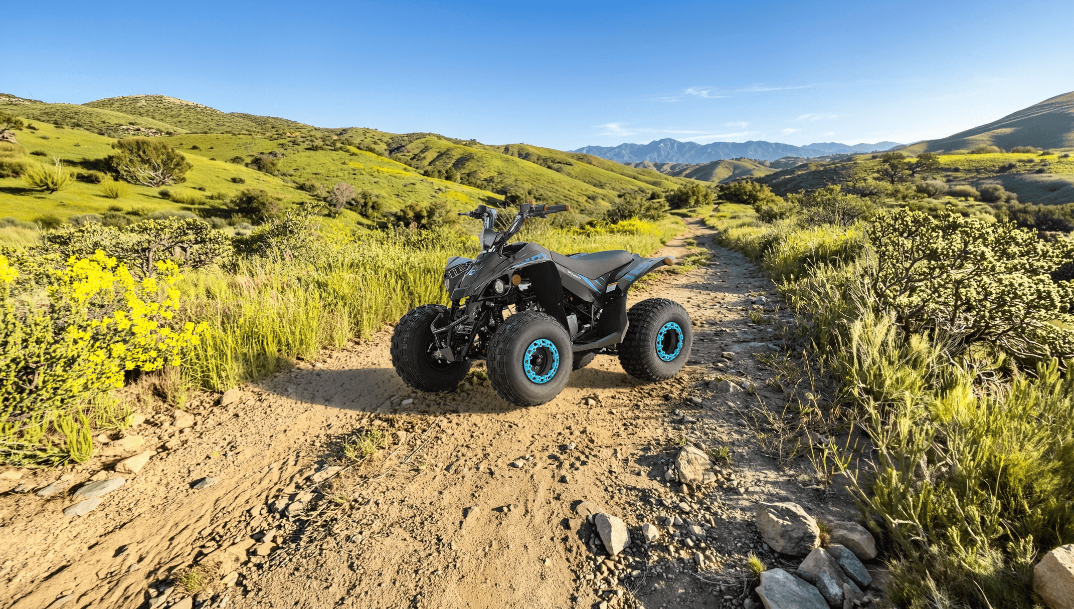 Квадроцикл IceBear GRZ125-D
