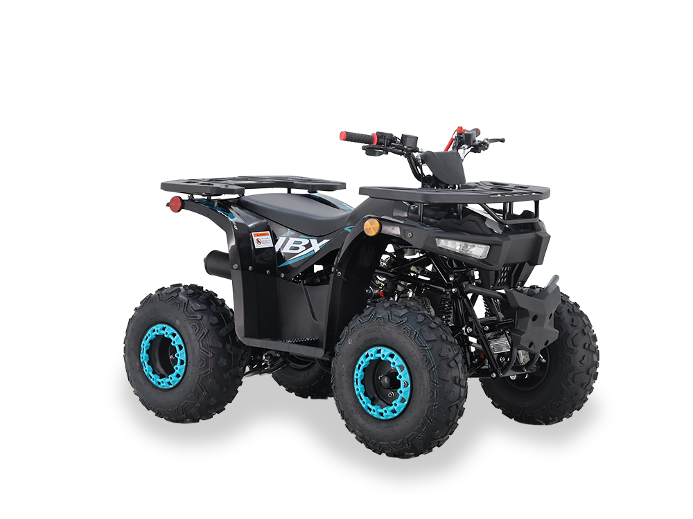 Квадроцикл IceBear GRZ125UT-D