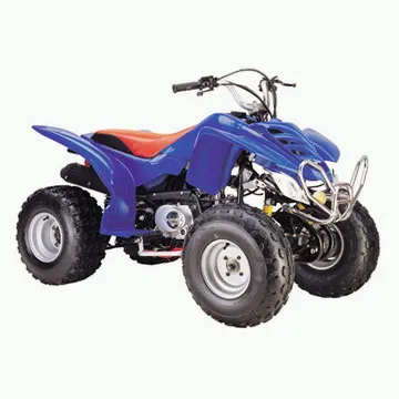Квадроцикл Jinan Century Jinma Vehicle ATV110